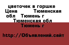 цветочек в горшке › Цена ­ 150 - Тюменская обл., Тюмень г.  »    . Тюменская обл.,Тюмень г.